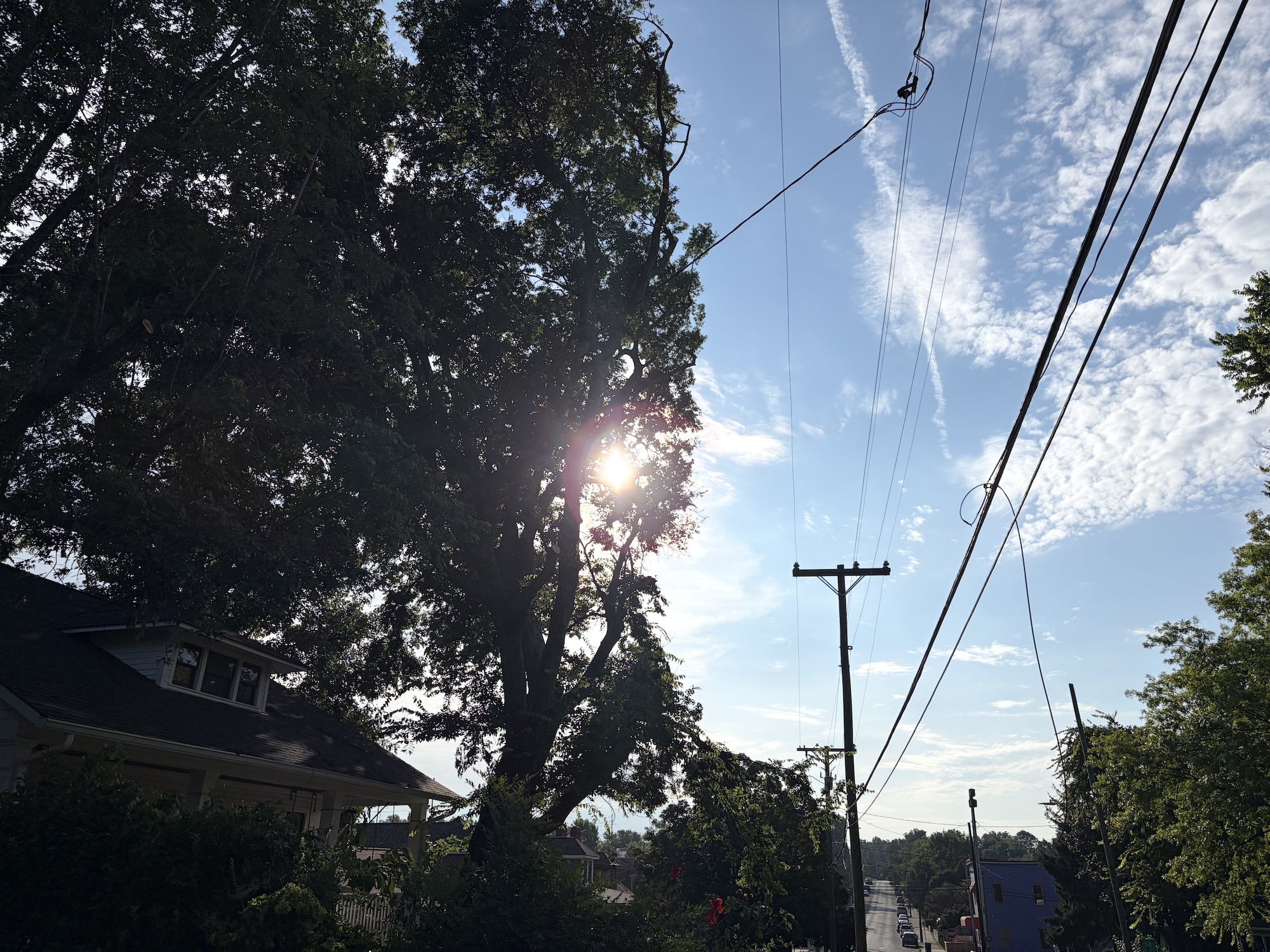 NashVillager Podcast Explores Legacy of Windshield Wiper Inventor, Local Nashville News