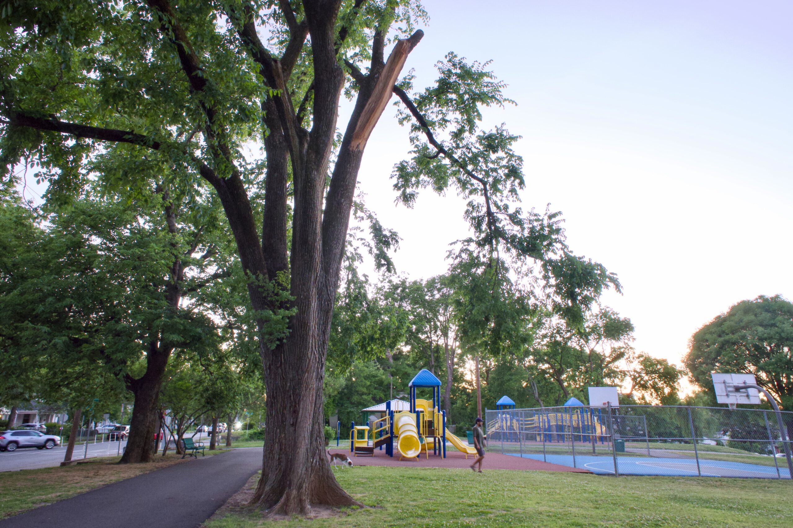 No shade: Half of Nashville’s parks have less than 33% tree canopy cover