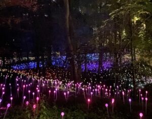 Cheekwood's attractions have sometimes drawn the ire from neighbors in the wealthy Belle Meade Highlands area over issues like traffic, safety and noise.