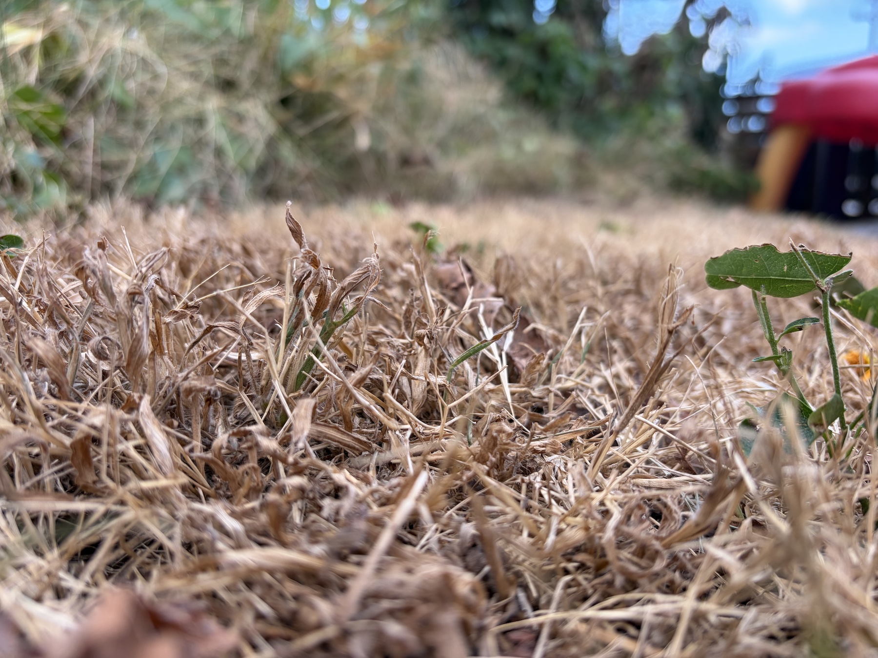 High demand is straining Nashville’s water system. Metro asks you to limit sprinklers
