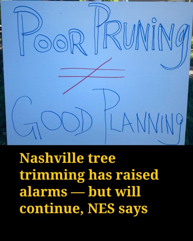 Nashville lost tens of thousands of trees during the January ice storm.

The loss contributed to a record number of power outages. In response, the Nashville Electric Service created a more aggressive tree trimming policy with a wider clearance between trees and power lines. 

Pushback was intense. One resident climbed a tree in protest. 

Residents and advocates fear further tree loss and risky trimming patterns under the new policy. Critics also say there has been a lack of transparency and communication about the decision. 

NES has continued trimming and said it would, “periodically review the reliability data around trimmed corridors, and work directly with any customers who have questions or concerns.”

NES says pausing now would increase risks of outages. 

Photos: Seth Thorpe/WPLN and Caroline Eggers/WPLN
