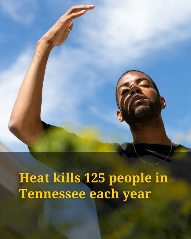 Tennessee is about to experience another oven-like heatwave, reflecting a dangerous trend of oppressive heat and humidity, reports Environmental Reporter Caroline Eggers

The state likely has five times more heat-related deaths than counted in official tallies, according to a new investigation from NPR and Boston University. 

The model estimated about 125 heat-related deaths per year in Tennessee each year between 2018 and 2025.

Nationally, the model estimated 9,000 annual deaths, with a third happening in Texas and Florida alone, also five times higher than official counts. 

Heatwaves have already become hotter, happened more often and lasted longer in recent decades, and further climate change will further intensify heat. 

Tap link in bio for more from environmental reporter Caroline Eggers.

Images: George Walker IV / AP, Climate Central, Pawel Janiak / Unsplash